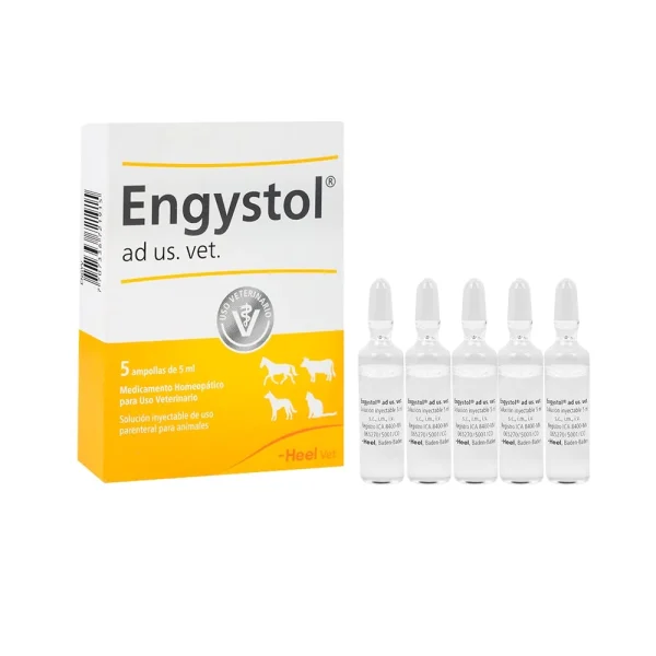 ENGYSTOL  AMPOLLA X 5 ML