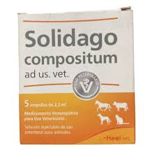 SOLIDAGO COMPOSITUM AD US VET AMPOLLA X 2,2 ML